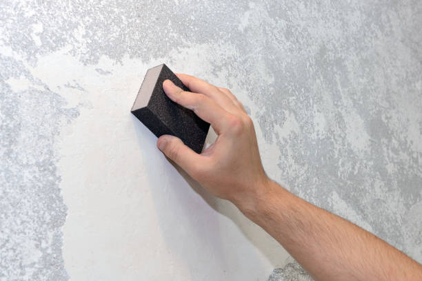 Best Mold Damage Restoration  in Lambert, MS