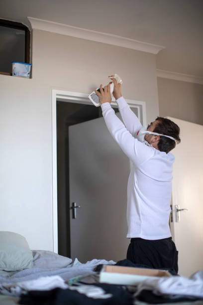 Mold Odor Removal Services in Lambert, MS