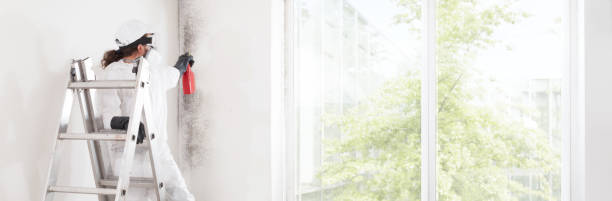 Environmental Consulting for Mold Prevention in Lambert, MS