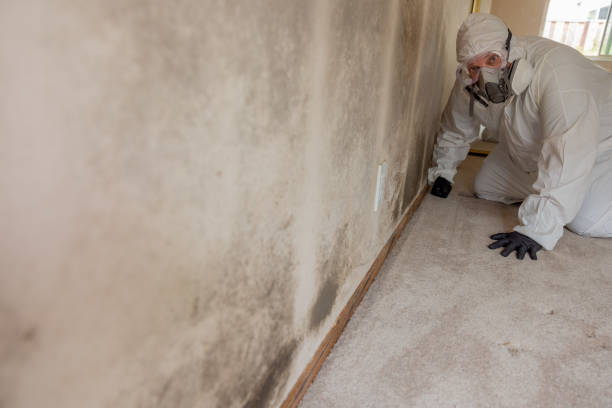 Best Asbestos and Lead Testing During Mold Inspection  in Lambert, MS