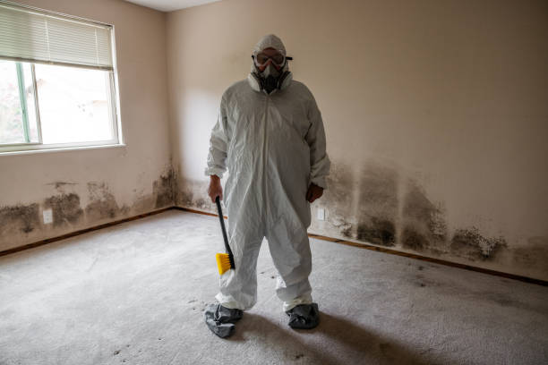 Best Crawl Space Mold Remediation  in Lambert, MS